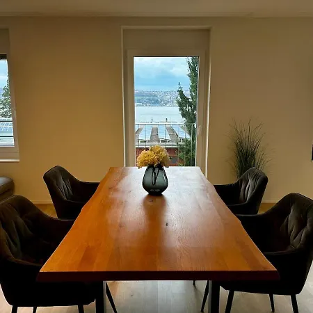 Apartment Seeblick In Wollishofen