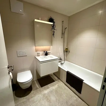 Apartment Seeblick In Wollishofen *