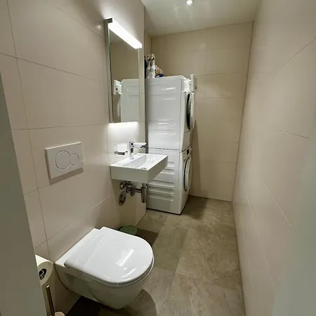 Apartment Seeblick In Wollishofen *